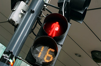 Traffic signal pedestrian light