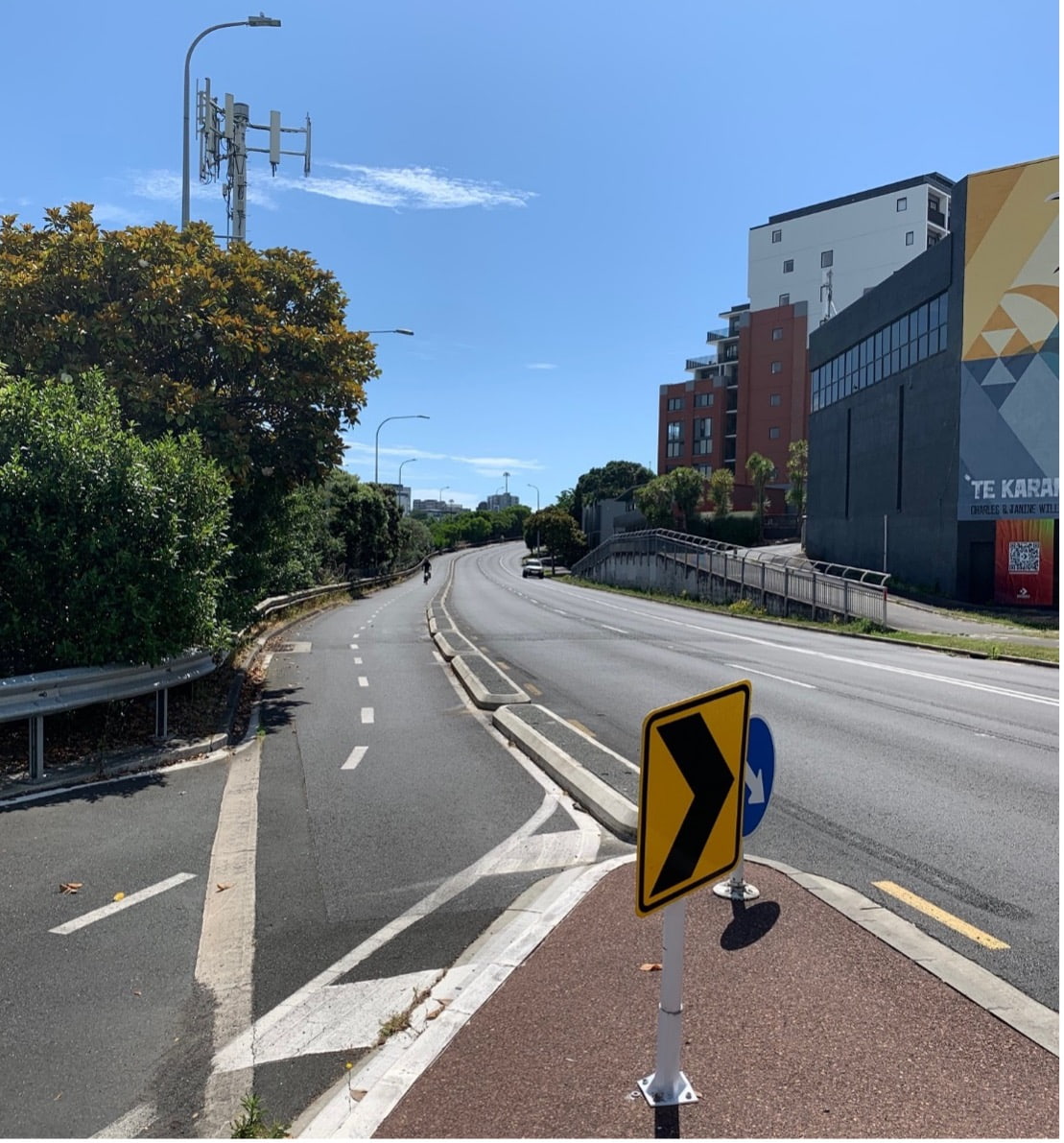 Bike lane at Ian Mckinnon Drive Cycleway